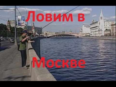 Видео: Диалоги о рыбалке -136- Городская рыбалка в Москве-реке