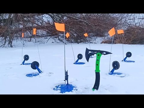 Видео: Рыбалка на жерлицы. УДАЧНАЯ РЫБАЛКА В ФЕВРАЛЕ