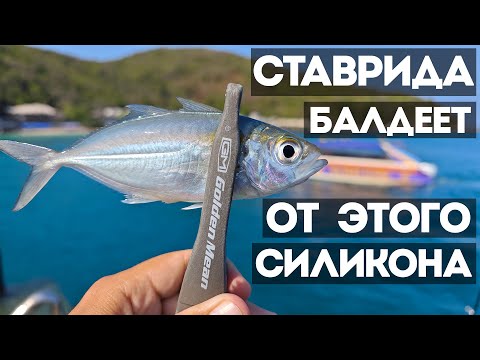 Видео: Как ловить ставриду на силиконовые приманки в Таиланде. Эксперименты с силиконом выявили победителя