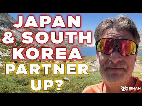 Видео: Объединятся ли Япония и Южная Корея против Китая? || Питер Зейхан