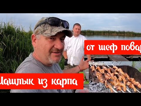 Видео: Ловим и готовим #1.Шашлык из карпа за 15 минут  .База Белуга Днестр.Catching and cooking