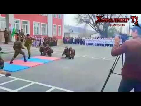 Видео: Колечи Тиби  .Ш Ховалинг
