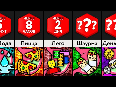 Видео: Сколько Переваривается ___?