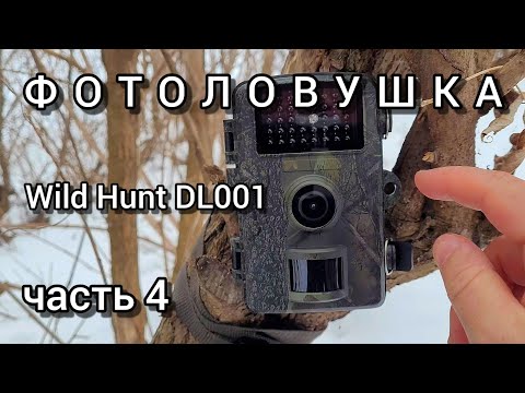 Видео: ФОТОЛОВУШКА WILD HUNT DL001