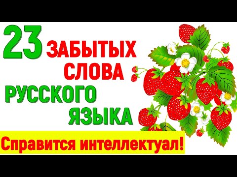 Видео: 23 ЗАБЫТЫХ СЛОВА РУССКОГО ЯЗЫКА! ТЕСТ ДЛЯ НАСТОЯЩЕГО ИНТЕЛЛЕКТУАЛА! #test #старыеслова #русскийязык