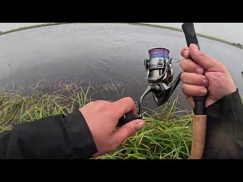 Видео: Рыбалка москвича на Камчатке. День 2й. ещё больше лосося и больше медведей