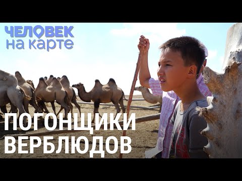 Видео: Верблюды и нефть | ЧЕЛОВЕК НА КАРТЕ