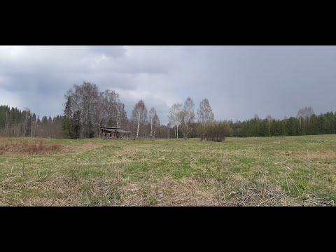 Видео: Нашли не битый двор, монеты на каждом шагу