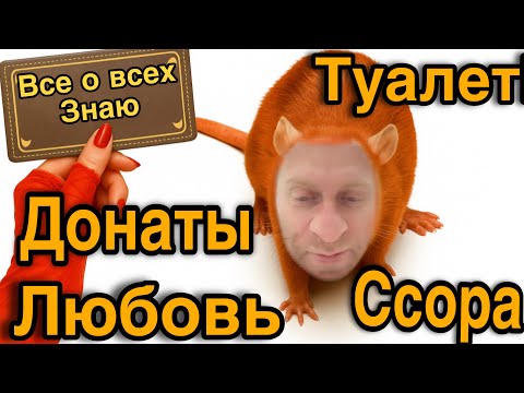 Видео: У КОКИ ПРОБЛЕМЫ У СЕВКИ ЛЮБОВНИКИ/ Мила 💸 причина ссоры - как всегда / Saveliy Ad