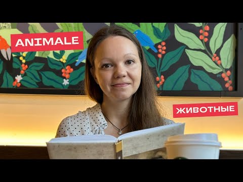 Видео: Animale în limba română. Животные на румынском языке.