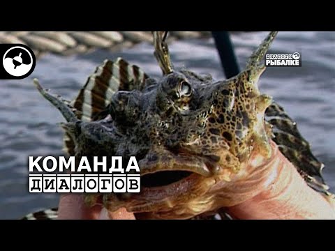 Видео: Камчатка. Городская рыбалка | Классика