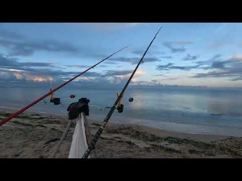 Видео: Рыбалка на Пеленгаса Бердянск 24.06.22