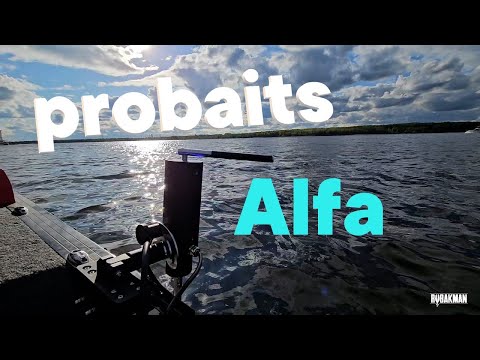 Видео: Новинка от Пробейтс - ротатор Альфа. Probaits ALFA. Удержит или нет?