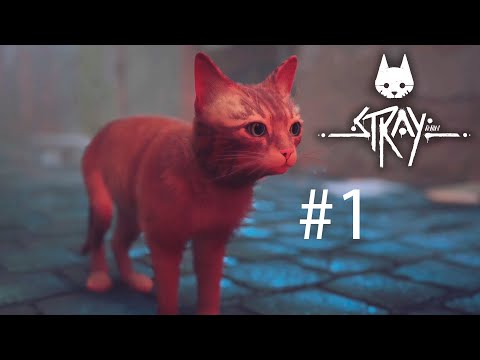 Видео: STRAY | МЁРТВЫЙ ГОРОД