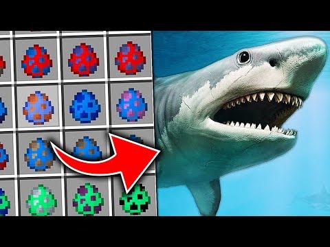Видео: Я ПРИЗВАЛ АКУЛУ В МАЙНКРАФТЕ! И МНОГО ДРУГИХ ОПАСНЫХ РЫБ В ОКЕАНАРИУМ В ЗООГОРОД
