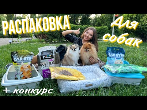 Видео: Большая Зоораспаковка для собак и котиков 🐾 Интересные новинки для животных + КОНКУРС 🎁