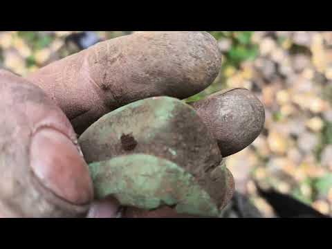 Видео: #63 На разведку в лес.