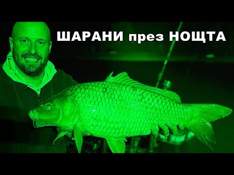 Видео: НОЩЕН РИБОЛОВ на МЕТОД ФИДЕР - КАК да СЪБЕРЕМ РИБИТЕ на ХРАНИТЕЛНОТО ПЕТНО