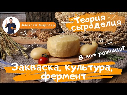 Видео: Закваска, культура, фермент.  В чем разница?