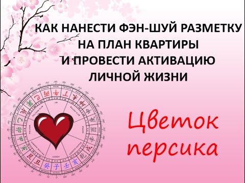 Видео: Активация фэн-шуй Цветок персика. Как нанести разметку Фэн-шуй на план квартиры.