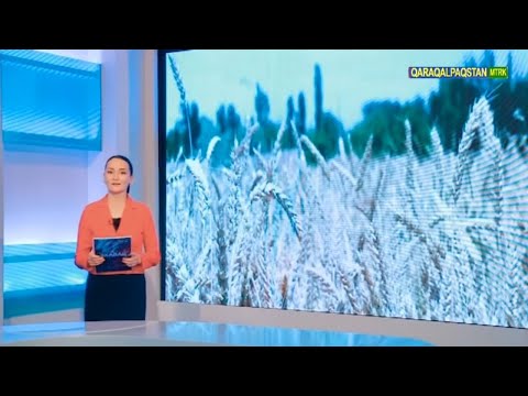 Видео: ХАБАР 8.06.2022