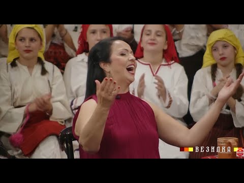 Видео: ВЕЗЛКА (19.10.2025) / VEZILKA (19.10.2025)