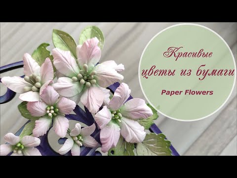 Видео: Красивые цветы из бумаги / Paper flower tutorial