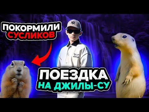 Видео: ДЖИЛЫ СУ 2025 | СУСЛИКИ