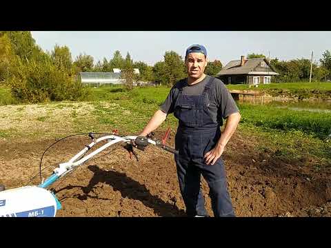 Видео: Осенняя вспашка мотоблоком с Мультиагро. Пашем двумя разными плугами. Plowing with a plow.