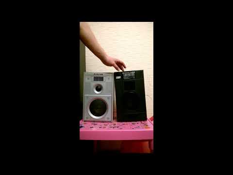 Видео: Вега 15АС-109 против Radiotehnika S30B