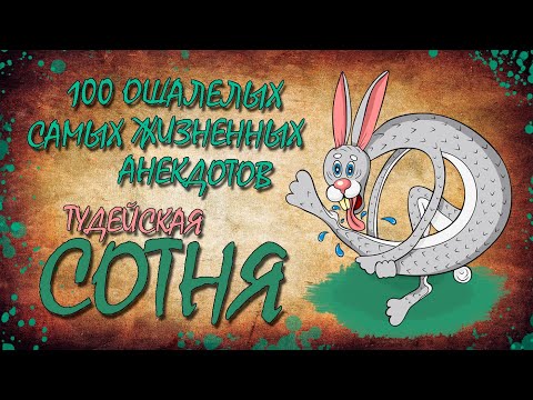 Видео: 100 Самых Ошалелых Жизненных Анекдотов! ТУДЕЙСКАЯ СОТНЯ №4