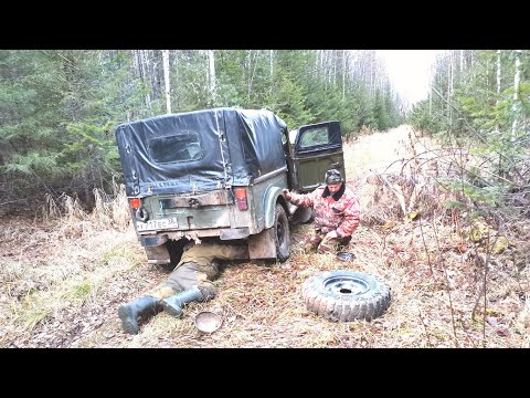 Видео: Сибирь. Таёжные будни. Проверяем капканы.