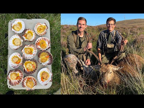 Видео: Ловля гребешков, подводная охота и охота на оленей в Шотландии