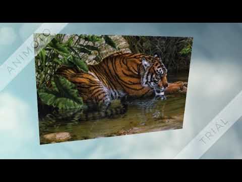 Видео: Мантра для похудения очень мощная