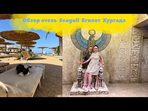 Видео: Обзор номера, питание в отеле Seagull Египет Хургада 27 марта 2024