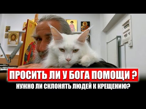 Видео: Причастие и пост. Как человека подвести к крещению? Может ли Бог вывести из ада душу по молитвам?
