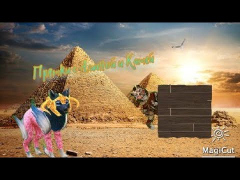 Видео: Играю в прятки с Аминой и Катей! Амина жульничала? (часть 1)