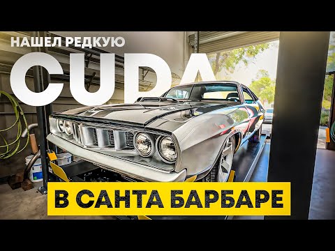 Видео: Нашел редкую Cuda в Санта-Барбаре