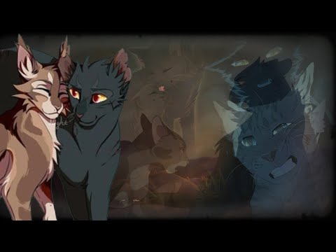 Видео: [Коты Воители] ~ Ветерок и Верескоглазка | Клетка ~ {Клип} (650+)