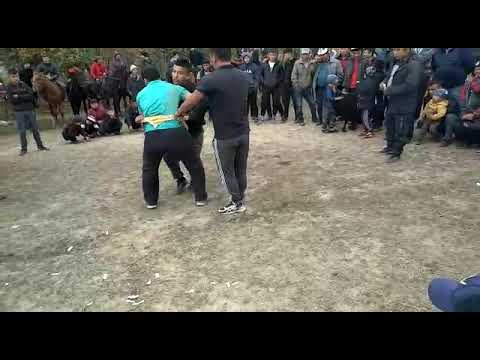 Видео: ЖОРОЕВ СЫЙМЫК АКСЫ ТОРУК АЛЫШ КУРОШ 🤼