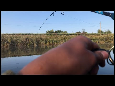 Видео: Восхитительная рыбалка с Максимом на о.Чей