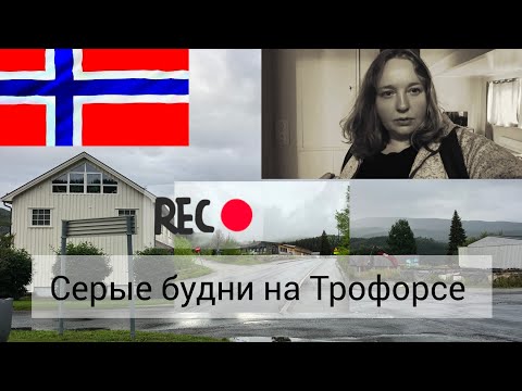 Видео: пить или не пить новости на  завтрак 🇧🇻