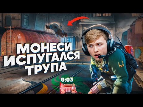 Видео: МОНЕСИ ИСПУГАЛСЯ ЛЕТЯЩЕГО ЧЕЛА! ПХАХХАХА