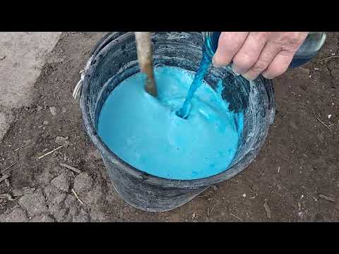 Видео: Если не обработаете этим малину ранней весной, то грибковые болезни малины лишат Вас 25% урожая