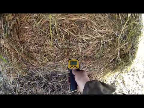 Видео: Прессование сена отавы в октябре, измерение влажности. Т-40АМ и ПР-110М