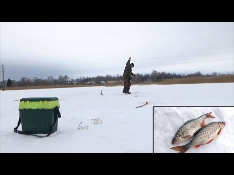 Видео: Выход крупной плотвы в глухозимье