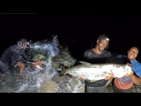 Видео: «Поймали ГИГАНТСКОГО ТАРПОНА! Невероятный бой!»