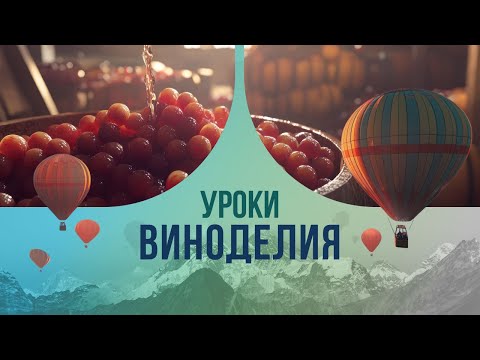 Видео: Уроки виноделия: все секреты качественного производства.