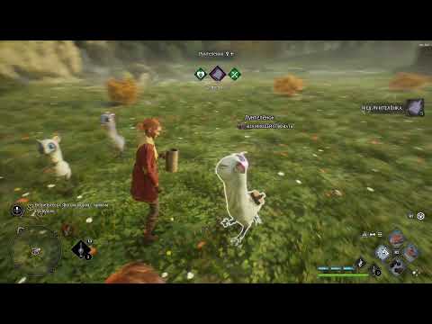 Видео: Hogwarts Legacy: День 8. Полное прохождение за Когтевран