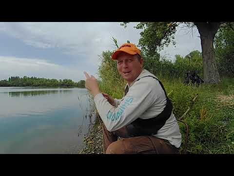 Видео: 100 % Лучшая снасть на карася.